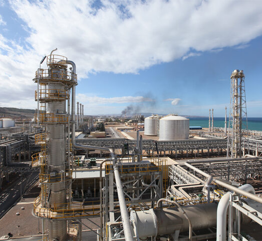 1020-Faaliyet Alanları-Gübre Fabrikaları